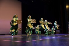 Bhangra-Event_evening_RahaaoProductions-13