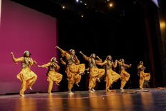 Bhangra-Event_evening_RahaaoProductions-29