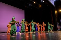 Bhangra-Event_evening_RahaaoProductions-37