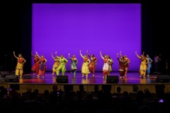 Bhangra-Event_evening_RahaaoProductions-46