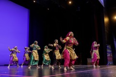 Bhangra-Event_evening_RahaaoProductions-55