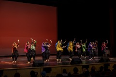 Bhangra-Event_evening_RahaaoProductions-62